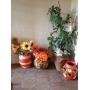 Whittier hills 5 bd house!!