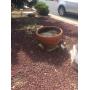 Bethel Estate Sales - Cherry Valley 
