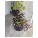 Bethel Estate Sales - Rancho