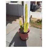 Everything Must Go Sale by Bethel Estate Sales