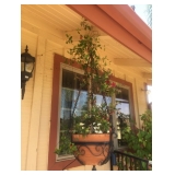 Bethel Estate Sales - Redlands 