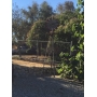 Bethel Estate Sales - Yucaipa