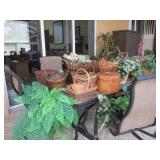 plants & baskets only NOT PATIO SET