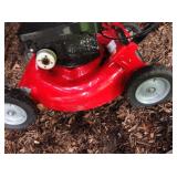 Lawnmower, needs TLC