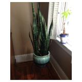 Snake plant in ceramic pot with metal stand.