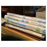 Specialty light bulbs