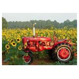 Monthly Public Equipment Consignment Auction 