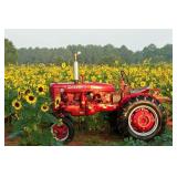 Hi Bid Online Estate Liquidation Auction