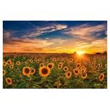 Monthly Public Equipment Consignment