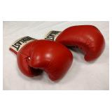 EVERLAST 2210 BOXING GLOVES