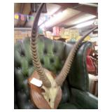 Outstanding Annual Memorial Day Auction