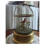 Ken D , Germany Song BIrd