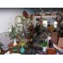 4 Day Estate sale