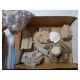 Petrified wood, polished stones