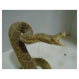 Rattle Snake Taxidermy