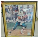 DAN MARINO PHOTO