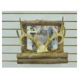 ANTLER MIRROR