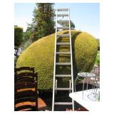 Very big extension ladder $45