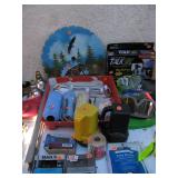Paint supplies 