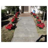  Artificial Poinsettia Flowers $2 each