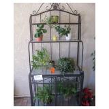 Bakers rack $40