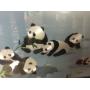 Blue Moon Estate Sale with Disney, Asian Art, Lawn Orn. & Tools