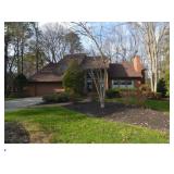 A Very Nice Blue Moon Sale