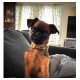 Hammonton Estate Sale Extravaganza ! Starts at 7 Fri!