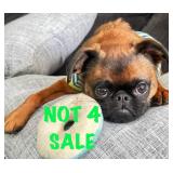 Check Out This Marlton Estate Sale