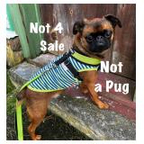 Leisuretown Sale - Drive Home in Jag or Caddy Convertibles 