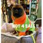Estate Sale in Gibbsboro at The Hummingbird House