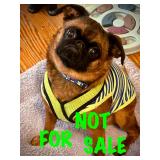 JOIN CUBBY FOR AN ESTATE SALE IN LEISURETOWN