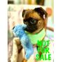 3 DAY SALE in HISTORIC EDGEWATER PARK HOME - TRAINS, BOATS PLANES & AUTOMOBILES