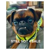 Untouched STUFFED House! 2 Days in Willingboro!