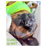 World Traveler's Collection Of Mid Century Furniture, Art & Decor