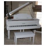 Pianodisc Player Piano