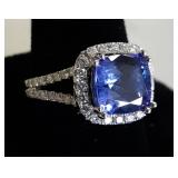 Sizzling Summer Auction  