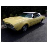 Summer Online Auction 