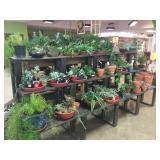 Garden Center Liquidation Sale- Lebanon TN