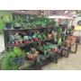 Garden Center Liquidation Sale- Lebanon TN