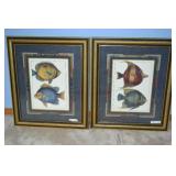 Aquatic Framed Art