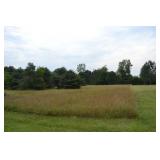 Property Saturated with Wildlife