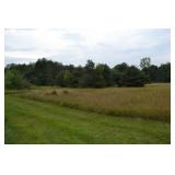 Great Tree Lined Property