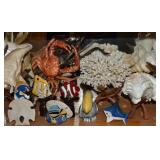 Ocean Life Aquarium - Coral etc.