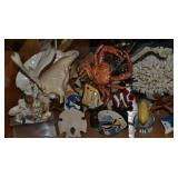 Sea Shells for Aquarium