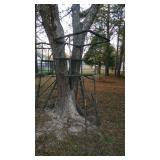  Public Auction Rain or Shine!