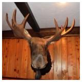  Absolute Estate Auction