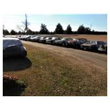 Absolute Living Estate Auction