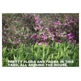 A PHOTO JUST FOR YOUR ENJOYMENT