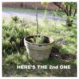 AND THE SECOND ONE TO MATCH